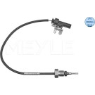 Sensor, Abgastemperatur | 6148000080