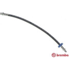 BREMBO Bremsschlauch | T 85 045