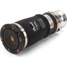 ARNOTT Fahrwerksfeder A-2869 Original Arnott Produkt