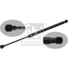Gasfeder, Koffer-/Laderaum | 37492