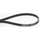 CONTINENTAL CTAM Keilrippenriemen 4PK855