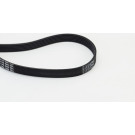 Continental CTAM Rillenriemen 6PK1660