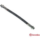 BREMBO Bremsschlauch | T 85 050