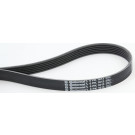 CONTINENTAL CTAM Keilrippenriemen 6PK1613