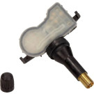 Ci-N-Sensor. Im Rad Renault Espace V, Kadjar | 407004CB0B