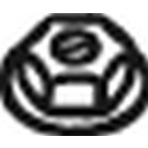 258-336 Mutter, Abgaskrümmer 1 PACK=50 PCS