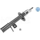 Stoßdämpfer | 29-26 723 0001