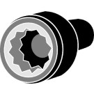 CORTECO Schrauben 49362886