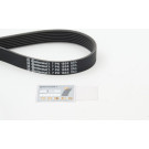 CONTINENTAL CTAM Keilrippenriemen 7PK1855