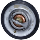 Thermostat, Kühlmittel | 352317100390