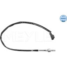 SENSOR, ABGASTEMPERATUR | 2148000053