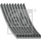 FEBI BILSTEIN Rillenriemen | 45021