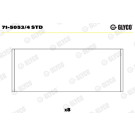 PLEUELLAGER | 71-5053/4 STD