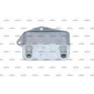 Ölkühler, Motor“L | 31216