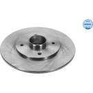 Bremsscheibe Renault T. Clio I | 16-15 523 0007