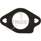 TRUCKTEC AUTOMOTIVE Versiegelung 02.16.085