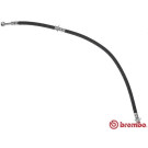 BREMBO Bremsschlauch