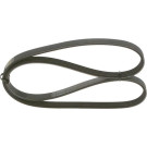 1 987 948 359 Keilrippenriemen