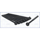 Zylinderkopfschraubensatz | 81052400