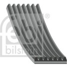 FEBI BILSTEIN Keilrippenriemen | 177663