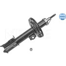 Stoßdämpfer | 6266230004