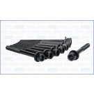 Zylinderkopfschraubensatz | 81047800