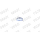 21 / Dichtung | RENAULT R21 | 86051
