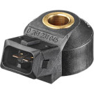 17 616 030 Klopfsensor | SEAT,VW | 0 261 231 045