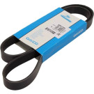 Keilrippenriemen 6Pk1160 6PK1160