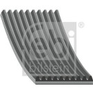 FEBI BILSTEIN Rillenriemen | 45237