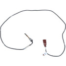 Sensor, Abgastemperatur | 707082