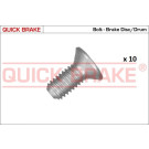 Fixierschraube Bremsscheibe | M6x1 | 11671