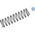 Meyle Fahrwerksfeder Vw | 100 739 0026