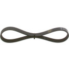 Keilrippenriemen | FORD Mondeo | 1987948354