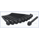 Zylinderkopfschraubensatz | 81019300