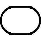 450106H Dichtung, Ansaugkrümmer