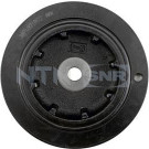 Riemenscheibe | RENAULT Megane | DPF355.09
