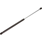 Gasfeder, Koffer-/Laderaum | 12-0095
