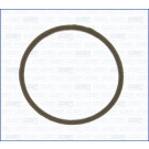 Dichtung, Thermostat | 538300