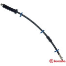 BREMBO Bremsschlauch | T 61 066