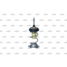 Thermostat, Kühlmittel | 725093