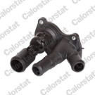 Thermostat, Kühlmittel | TE7090.98J