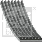 FEBI BILSTEIN Rillenriemen | 38252