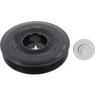 CORTECO Samen 49418960