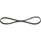 1 987 947 894 Keilrippenriemen