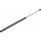 VAICO Gasfeder, Koffer-/Laderaum