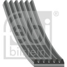 FEBI BILSTEIN Rillenriemen 28917