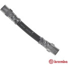 BREMBO Bremsschlauch | T 06 034