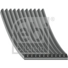 FEBI BILSTEIN Rillenriemen FEBI BILSTEIN Rillenriemen