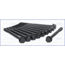 Zylinderkopfschraubensatz | 81031500